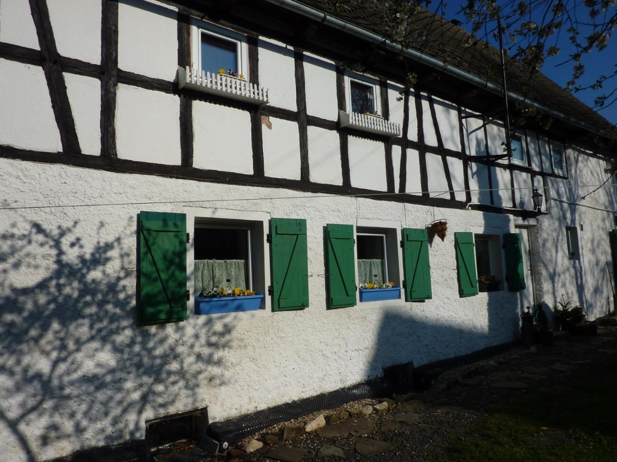 Kowalowka Apartment Mirsk Exterior foto